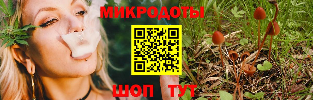 Псилоцибиновые грибы MAGIC MUSHROOMS Губкинский