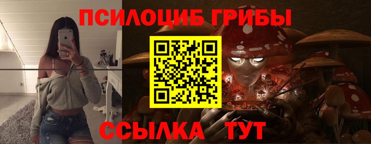 Псилоцибиновые грибы мухоморы  Псилоцибиновые грибы ЛСД  Губкинский  даркнет сайт  Вход с VPN 